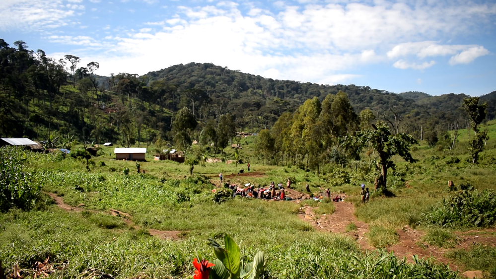 El parque nacional Kahuzi Biega, patrimonio mundial de la UNESCO, es famoso por sus reservas de gorilas. Este estatus conlleva el costo de expulsar a las comunidades pigmeas nómadas que habían estado viviendo en esta parte del territorio de Kalehe durante