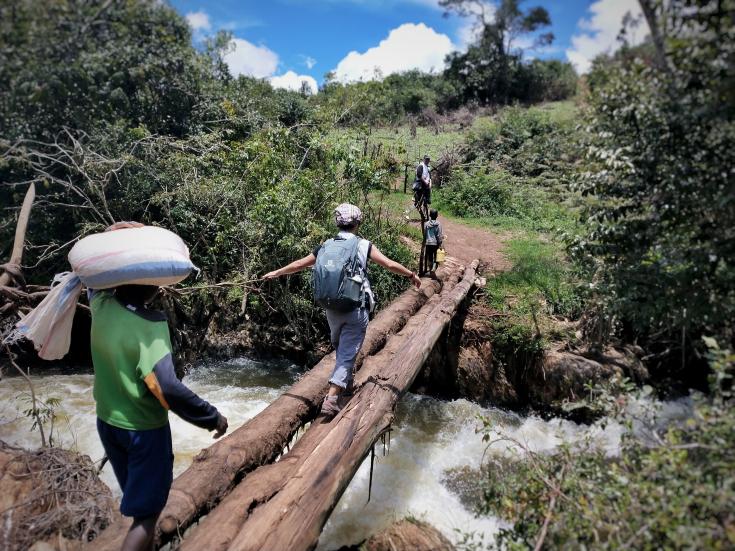 Puente hecho con troncos sobre un río caudaloso