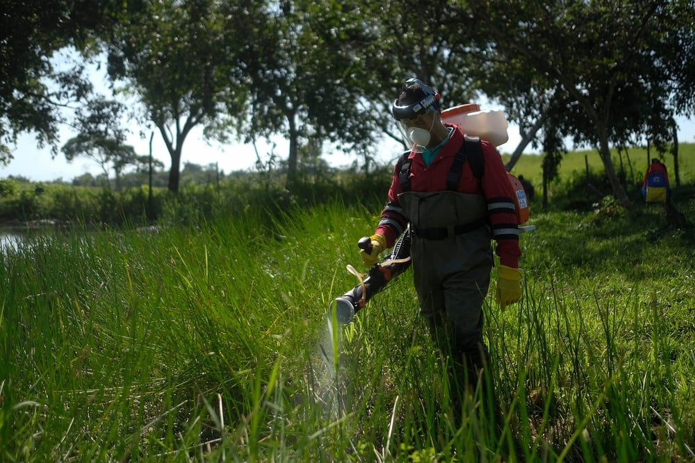 Junto con los equipos locales de Salud Ambiental realizamos aplicaciones de biolarvicida en el estado Sucre, para controlar las larvas de los mosquitos transmisores de malaria. Venezuela, agosto de 2021