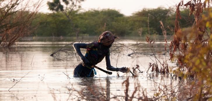 En la imagen, una mujer cruza las aguas de la inundación en Rubkona, Bentiu, para recoger leña.Njiiri Karago/MSF