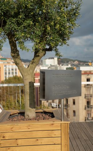 Memorial erigido en homenaje a nuestros compañeros asesinados en Tigray: María, Tedros y Yohannes.Sara de la Rubia/MSF.