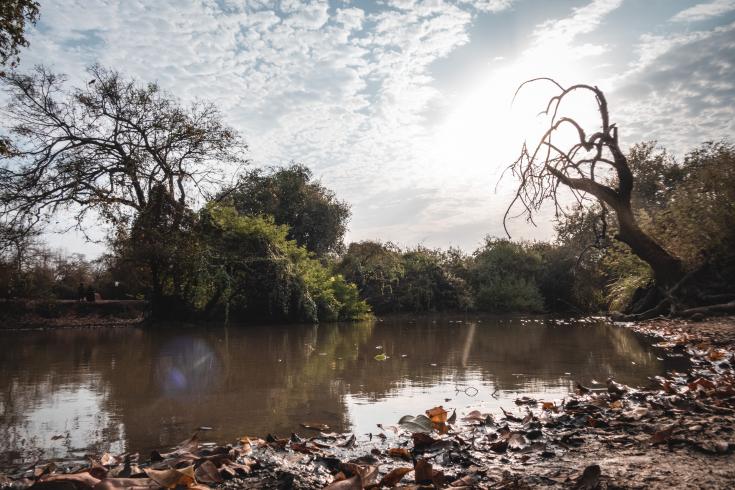 MSF lleva agua potable a zonas remotas del este de Sudan del Sur