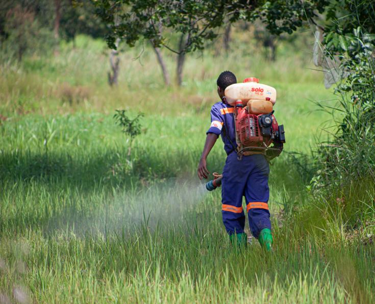Rocío con un químico no tóxico para matar las larvas de mosquitos en los pantanos de Tanzania.