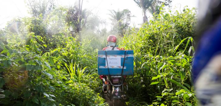 En moto, uno de nuestros trabajadores lleva bolsas de hielo hacia nuestros centros de vacunación, que sirven para mantener la cadena de frío. República Democrática del Congo, junio de 2016
William Daniels/(Panos Pictures) para National Geographic