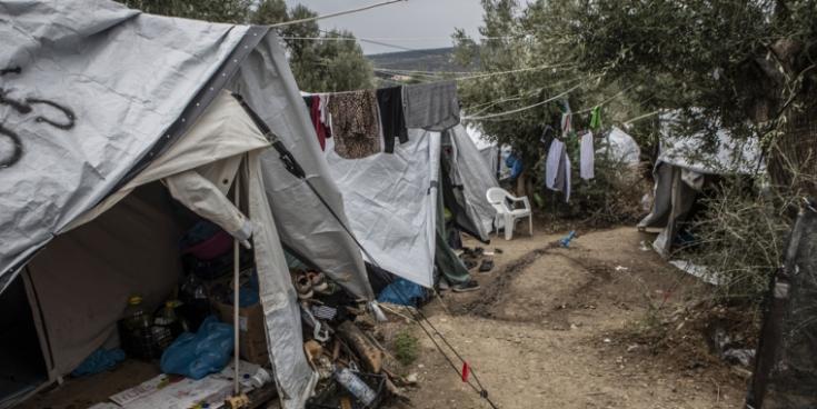 El olivar cerca del campo de Moria, en la isla de Lesbos, Grecia.