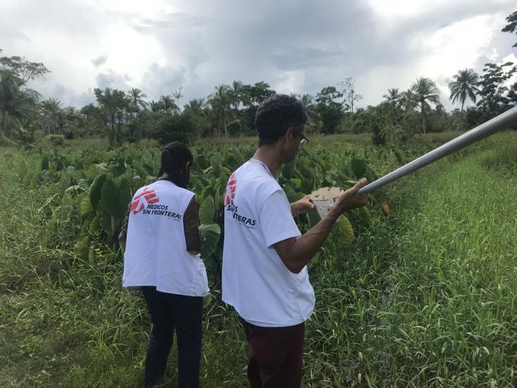 El equipo de Control de Vectores de MSF visita zonas de criaderos de mosquitos transmisores de malaria en Agua Clarita y Caño Ajíes, en el estado Sucre, para identificar los indicadores necesarios y desarrollar estrategias de control y prevención.