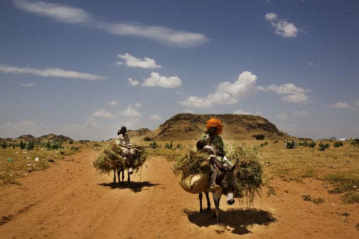 Los burros llevan personas y paja a través de la ciudad de Tawila, en el estado de Darfur del Norte, en el oeste de Sudán.