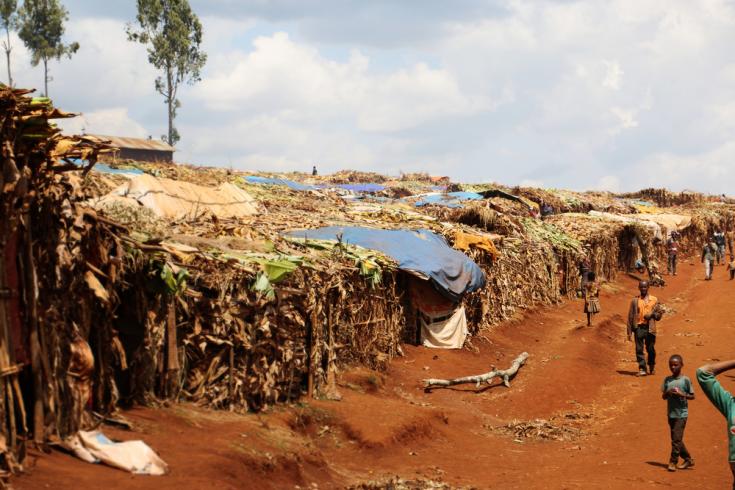 Campo de desplazados por la violencia en Etiopía